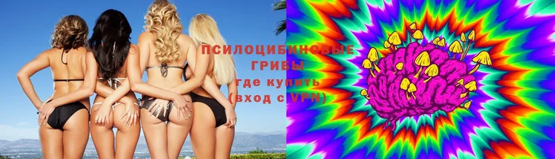 Галлюциногенные грибы мицелий  Кубинка 